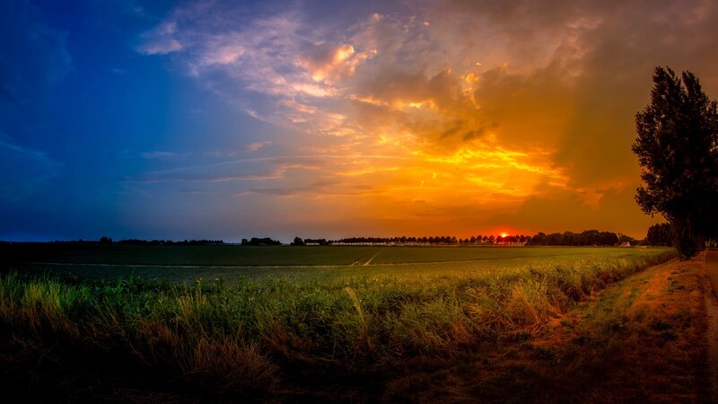 Sunset over Green Fields — Orange