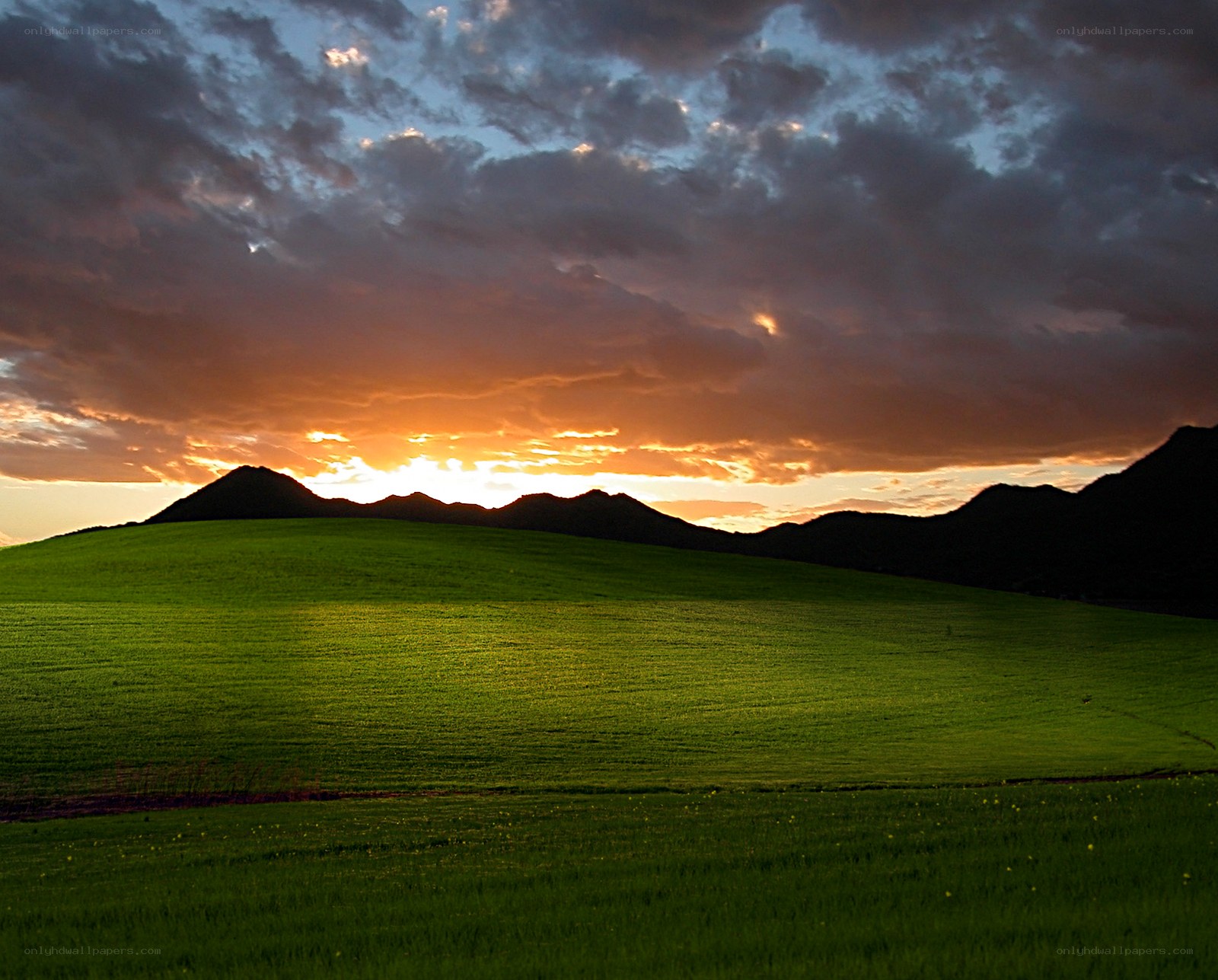 Sunset over green hills