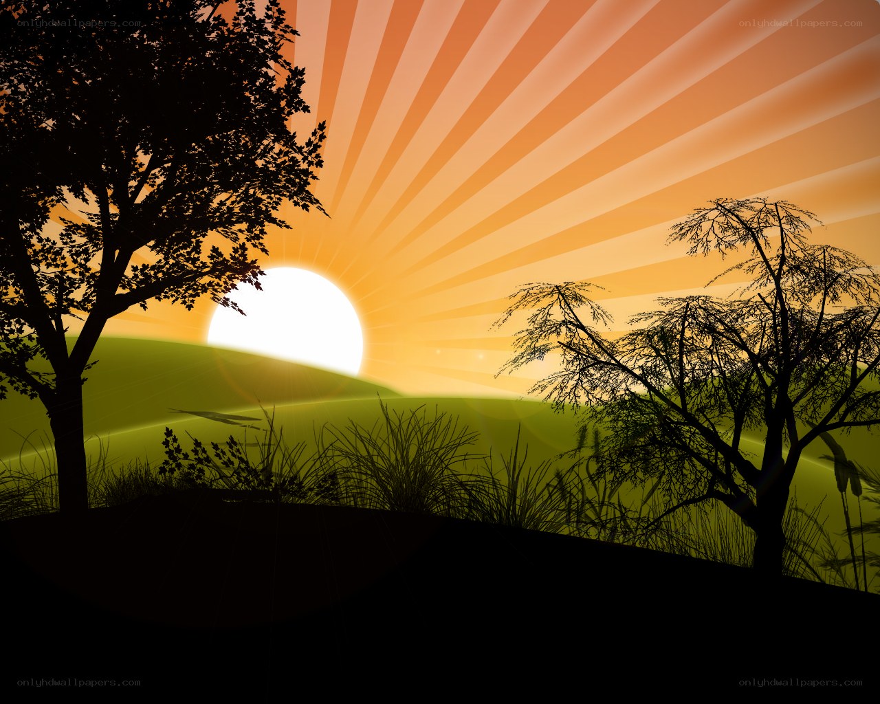 Sunset over green hills