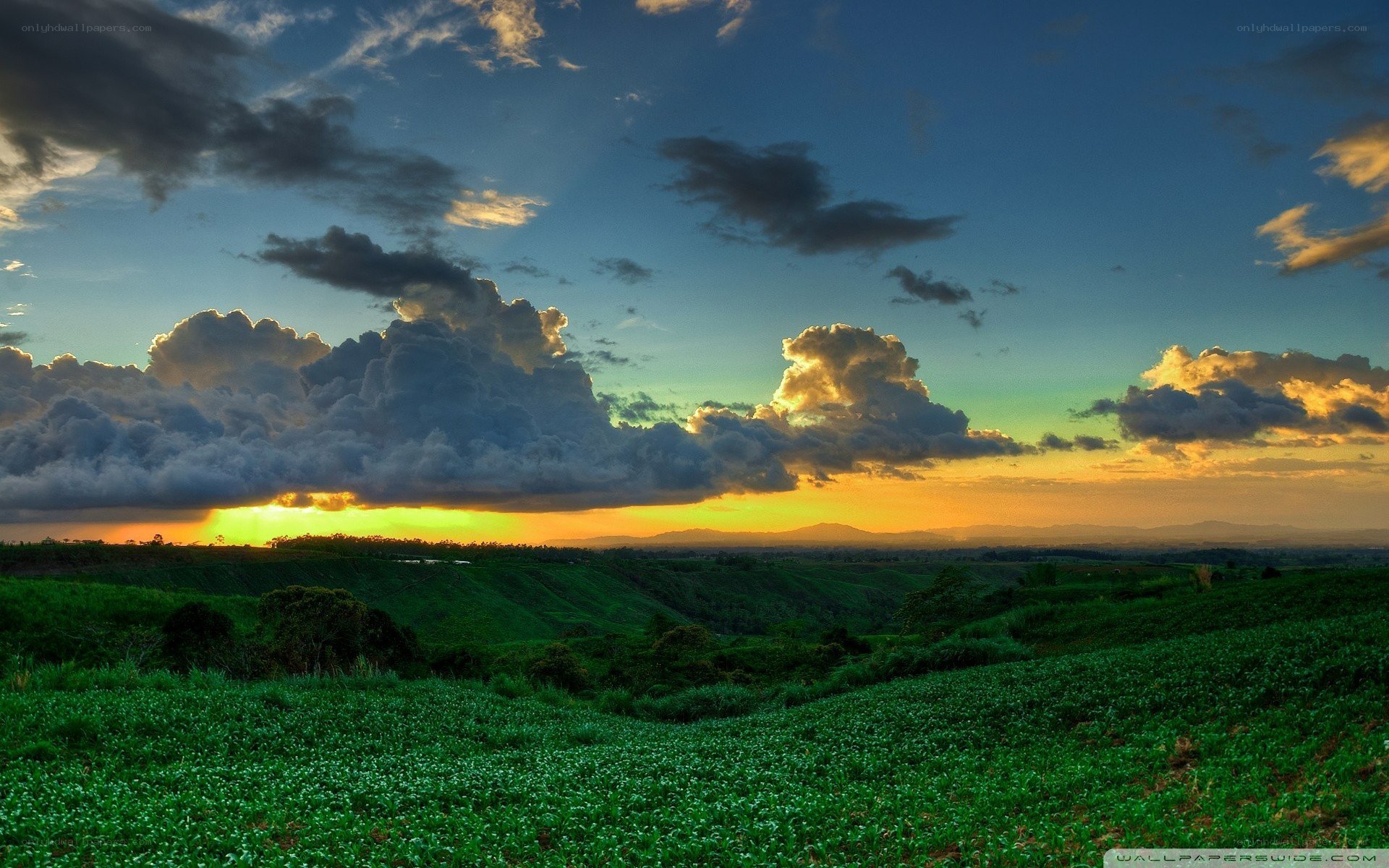 Sunset over green hills
