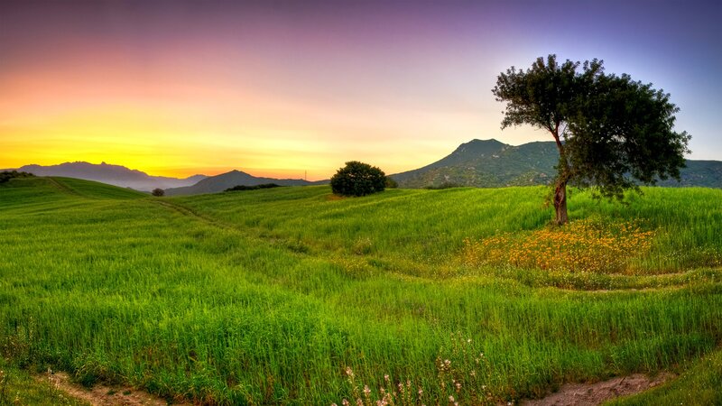 Sunset over green hills