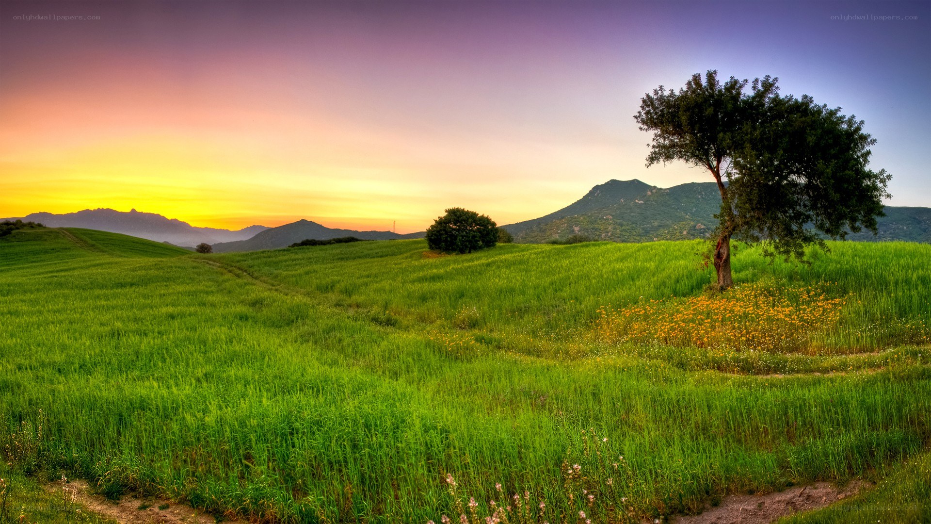 Sunset over green hills