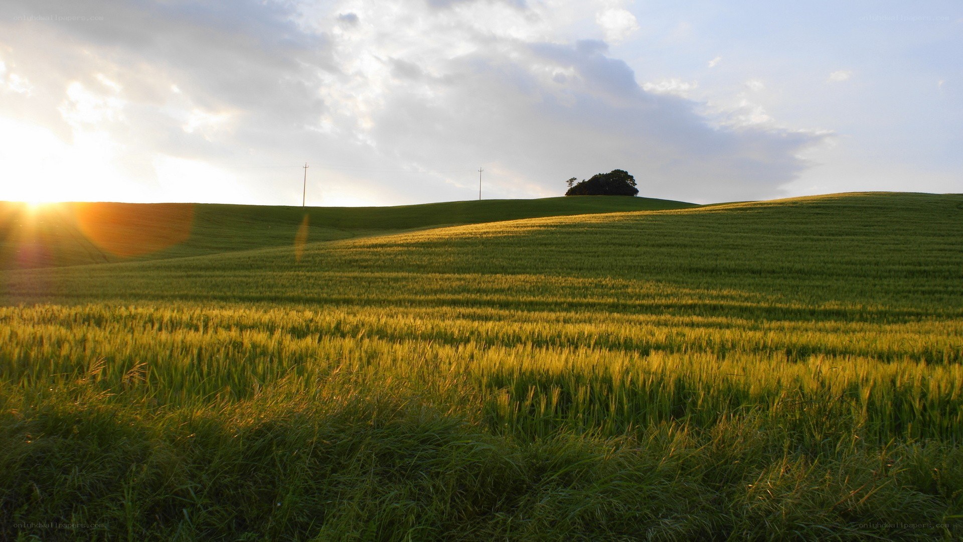 Sunset over green hills