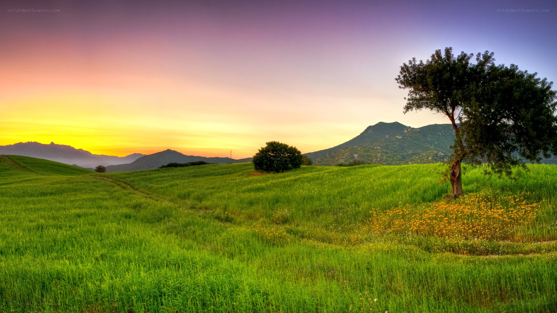 Sunset over green hills