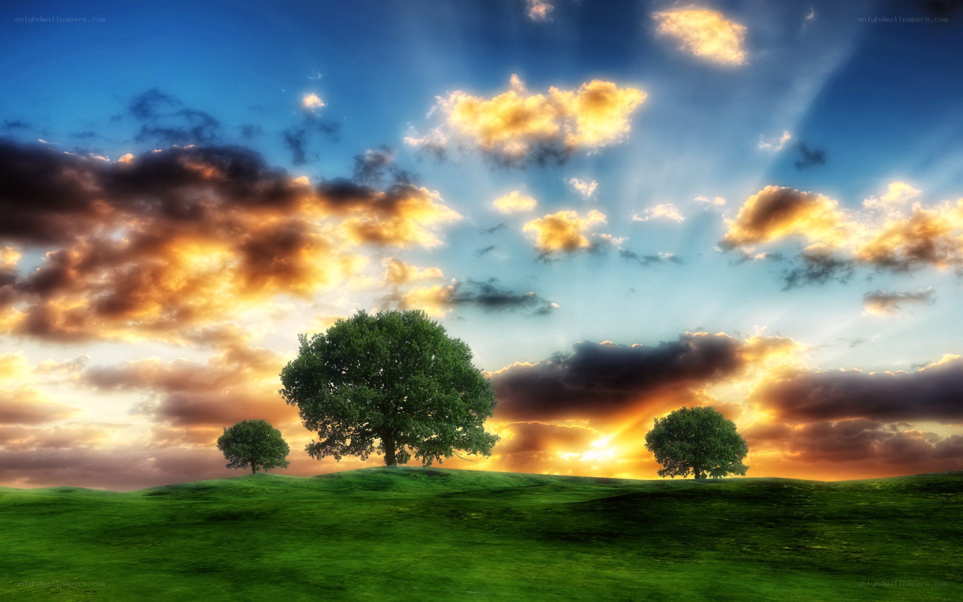 Sunset over green hills