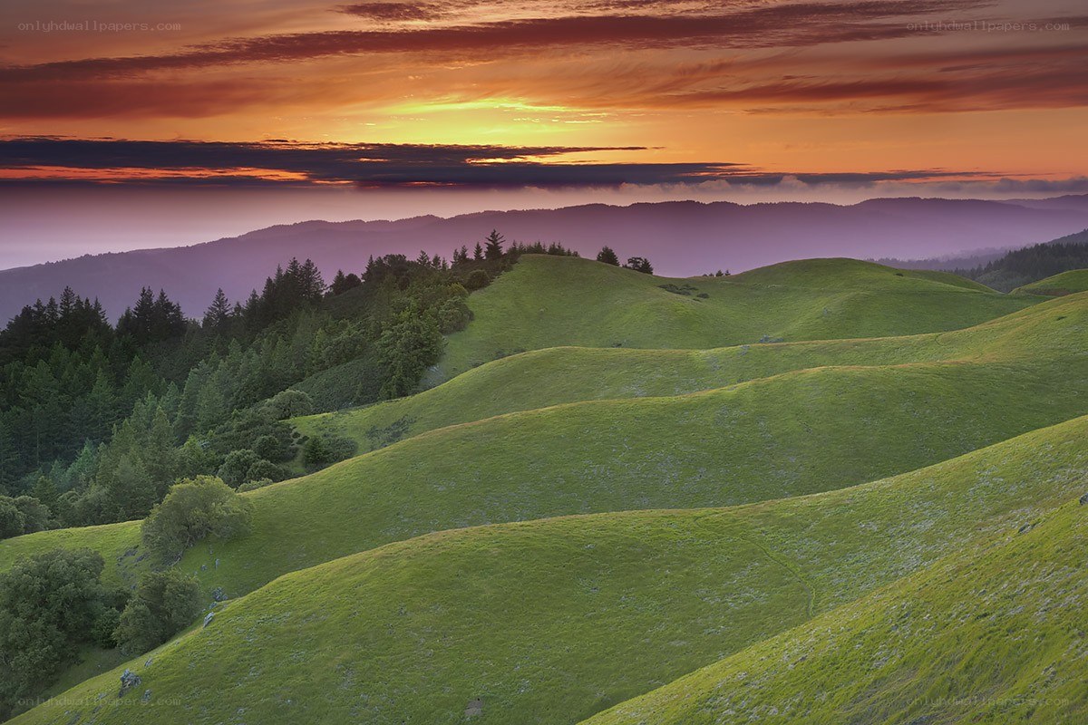 Sunset over green hills