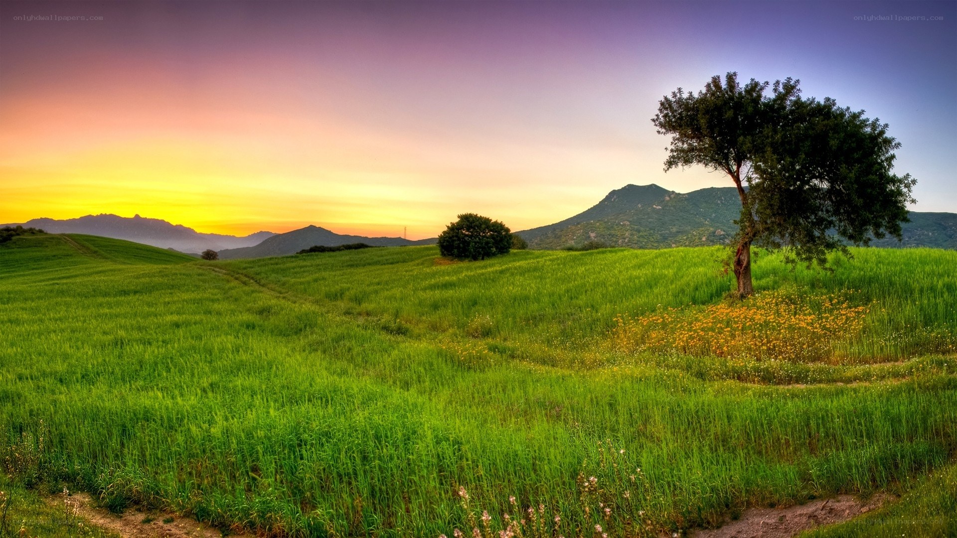 Sunset over green hills