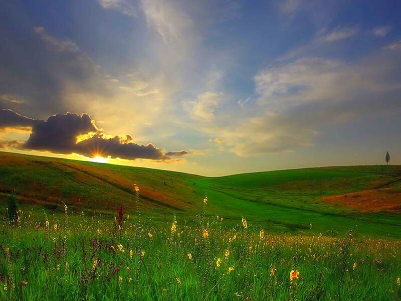 Sunset over green hills