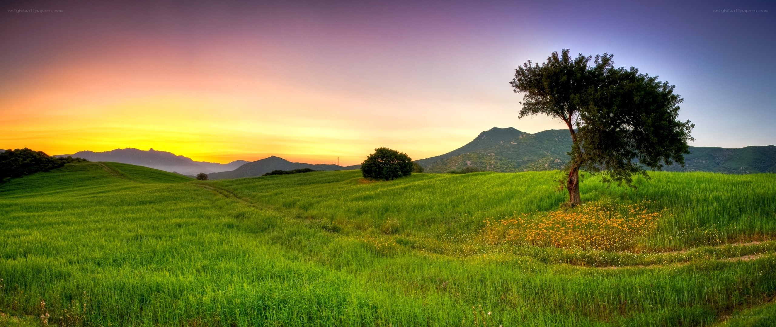 Sunset over green hills