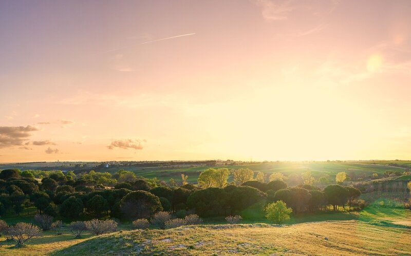 Sunset over Green Hills — Yellow