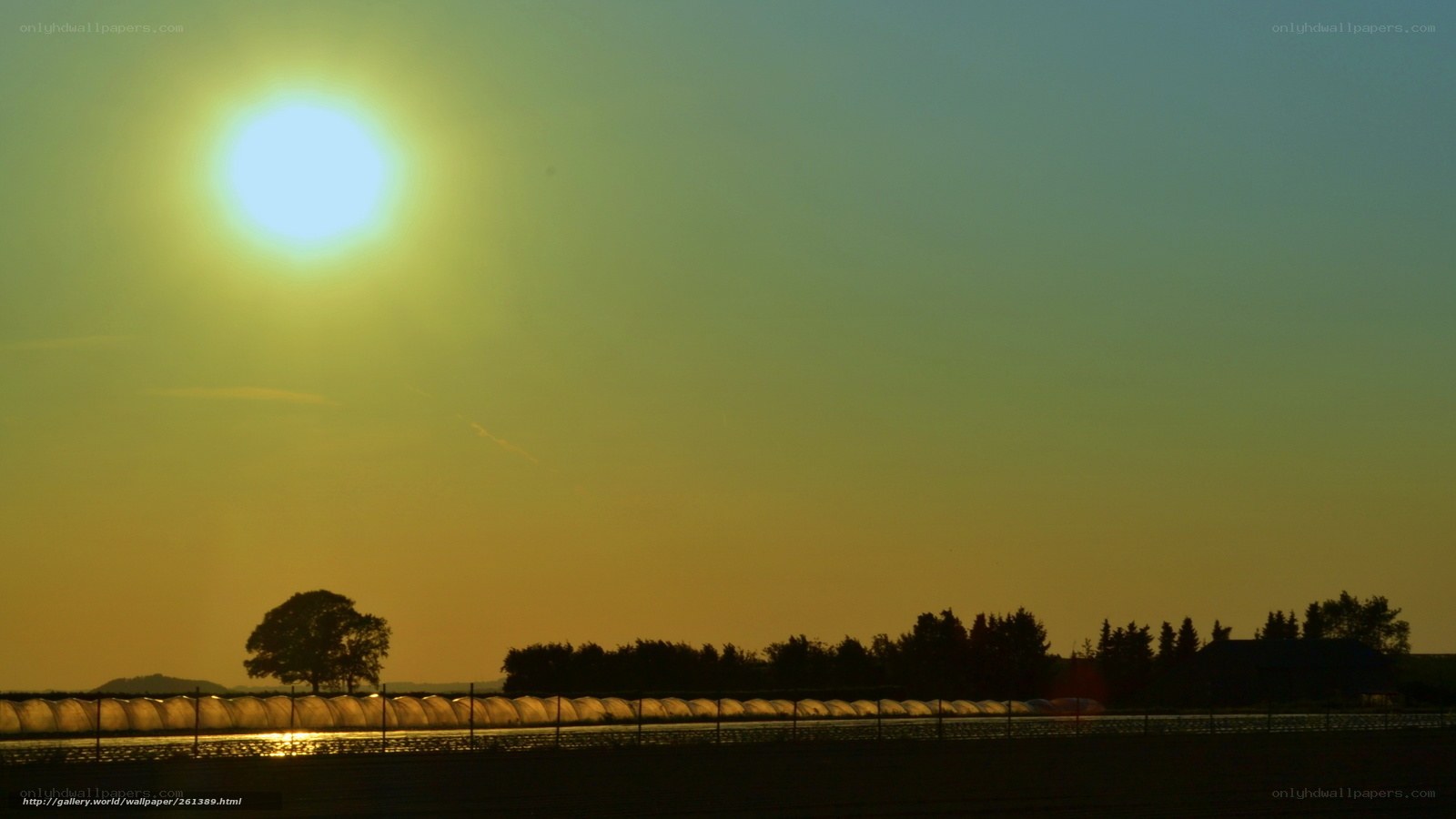Sunset over greenhouses