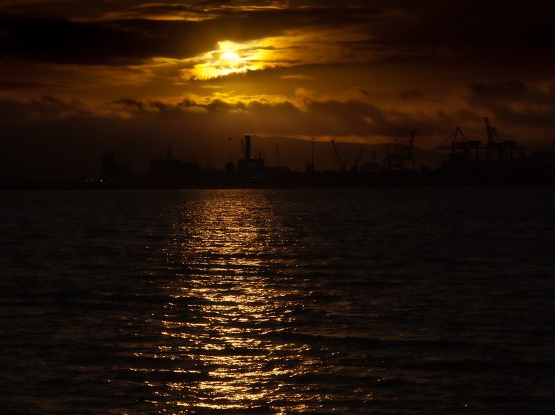 Sunset over Harbor — Gold, Dramatic