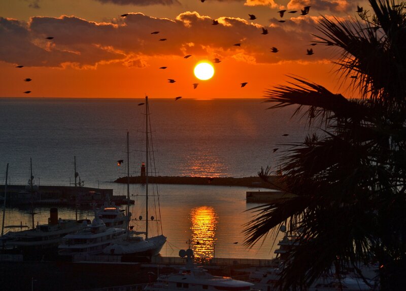 Sunset over Harbor — Orange, Dramatic, Photograph, Birds