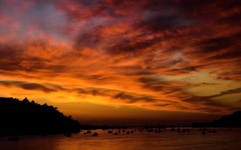 Sunset over Harbor — Orange, Dramatic, Photograph, Boats, Clouds, Trees