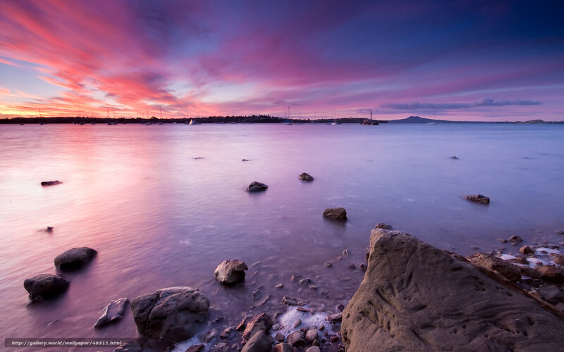 Sunset over Harbor — Pink, Serene