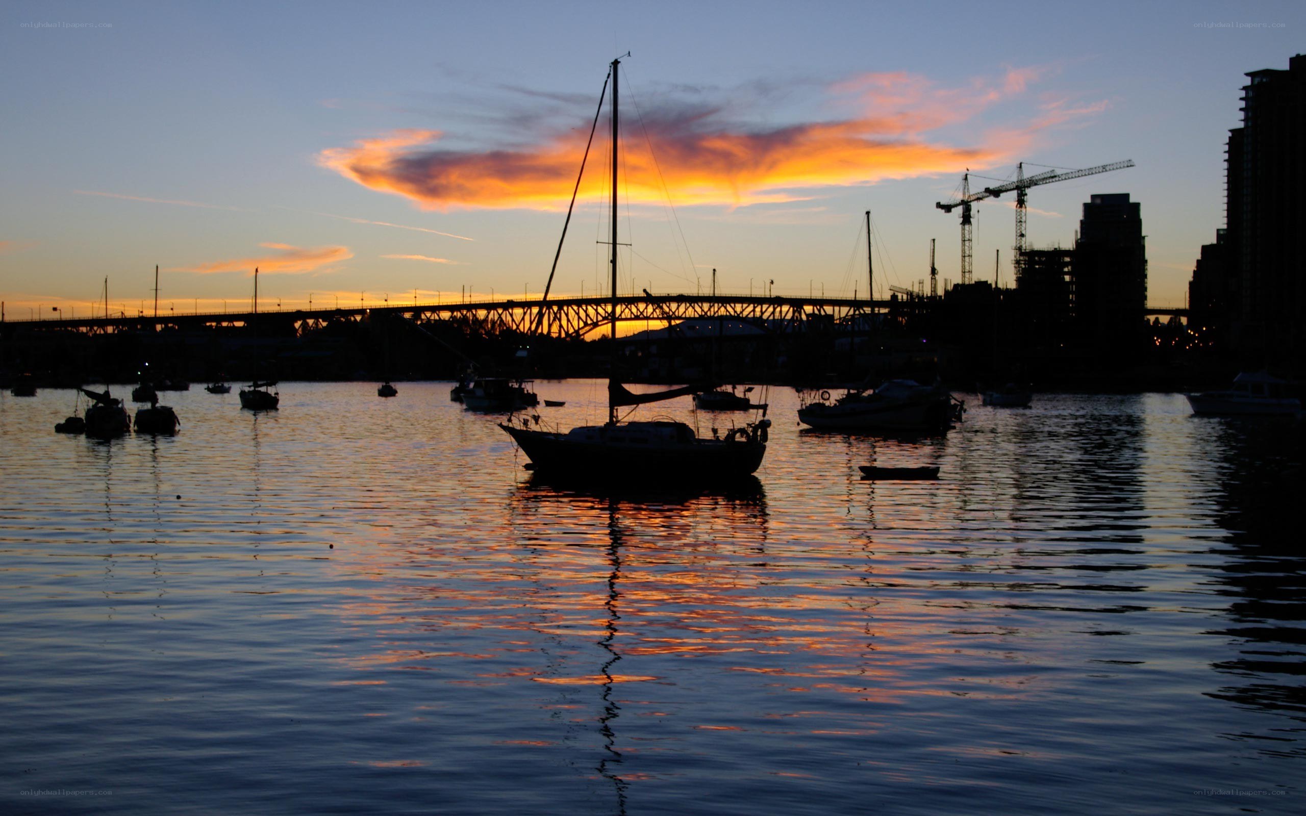 sunset over harbor with boats