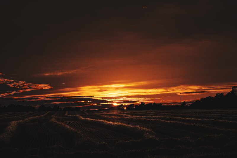 Sunset over Harvested Field