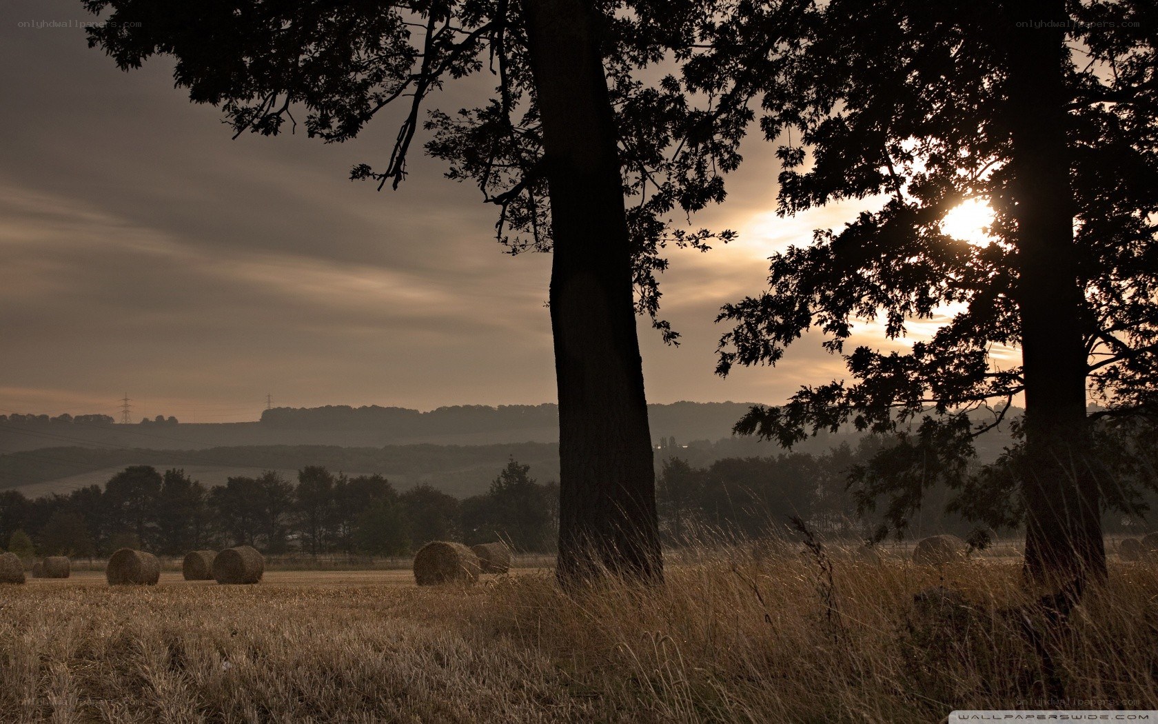 Sunset over hay bales field