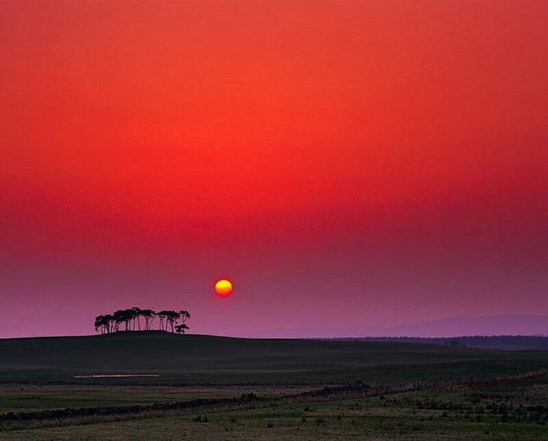 Sunset over Hill with Trees