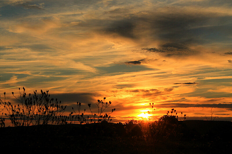 Sunset over Hills — Orange, Dramatic, Photograph, Clouds, Plants