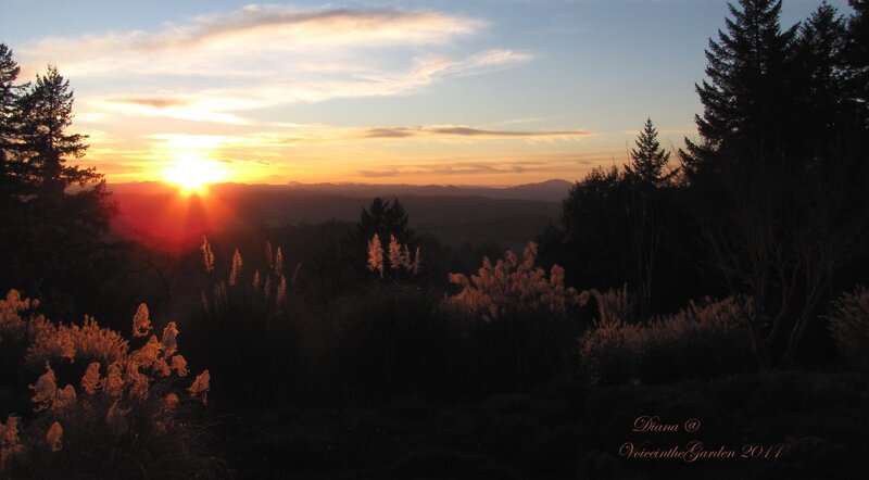 Sunset over Hills — Orange, Serene