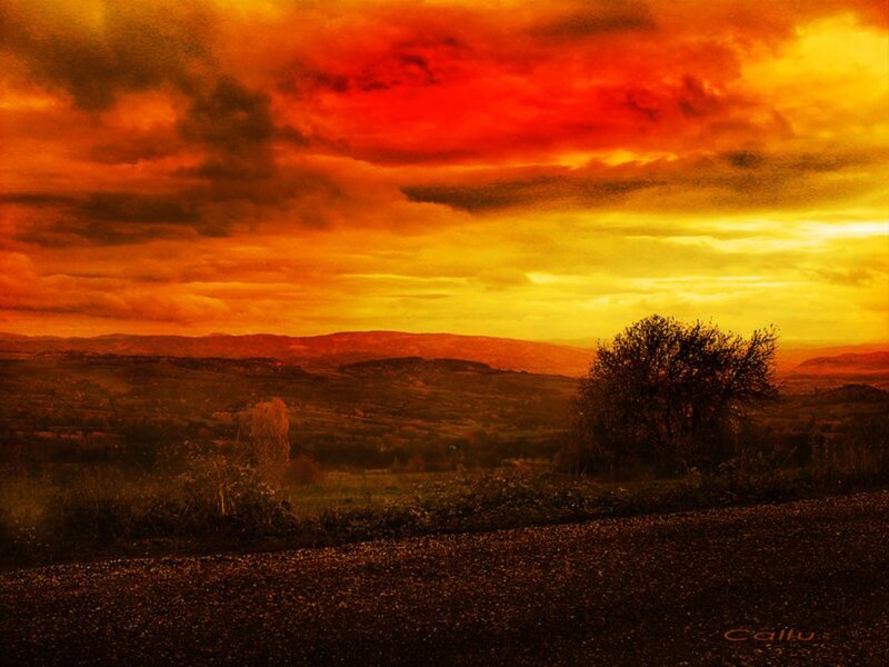 Sunset over Hills — Red, Dramatic, Photograph, Tree