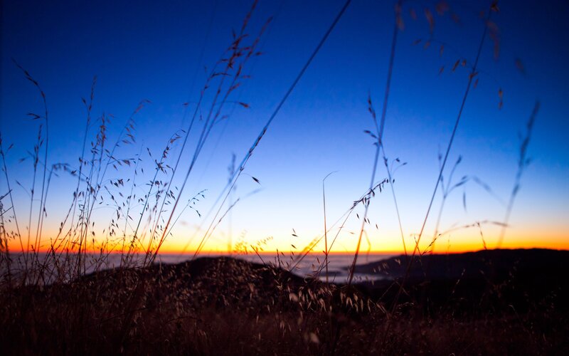 Sunset over hills with grass