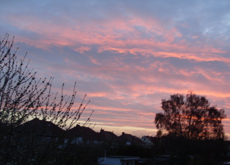 Sunset over Houses — Pink