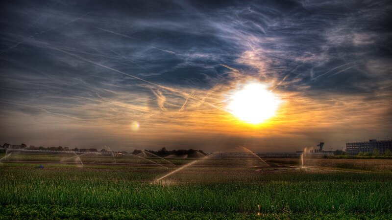 Sunset over irrigated fields