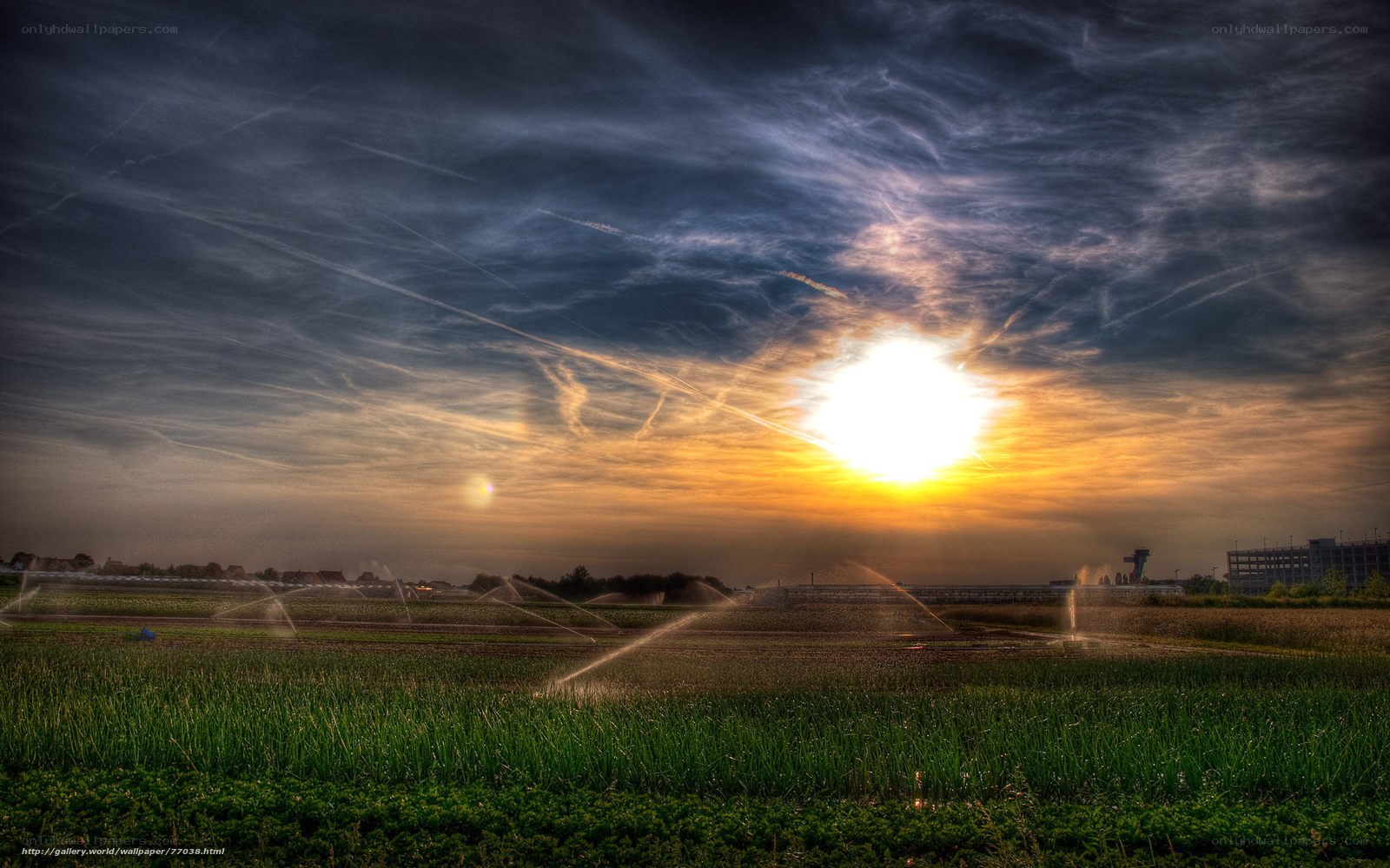 Sunset over Irrigated Fields