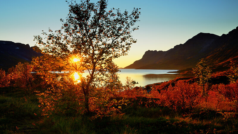 Sunset over Lake and Mountains — Orange, Serene, Photograph