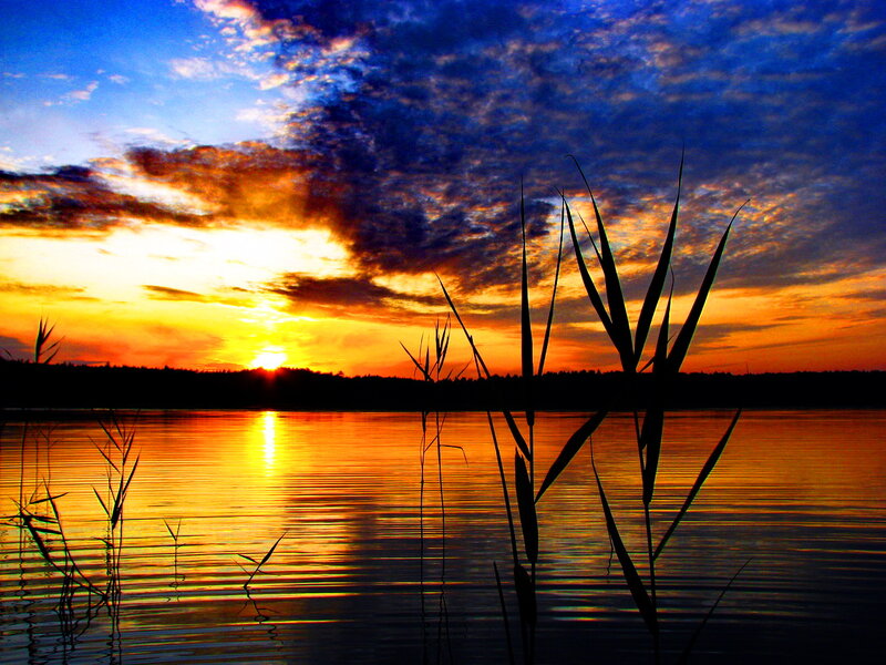 Sunset over Lake — Blue, Dramatic, Photograph, Reeds