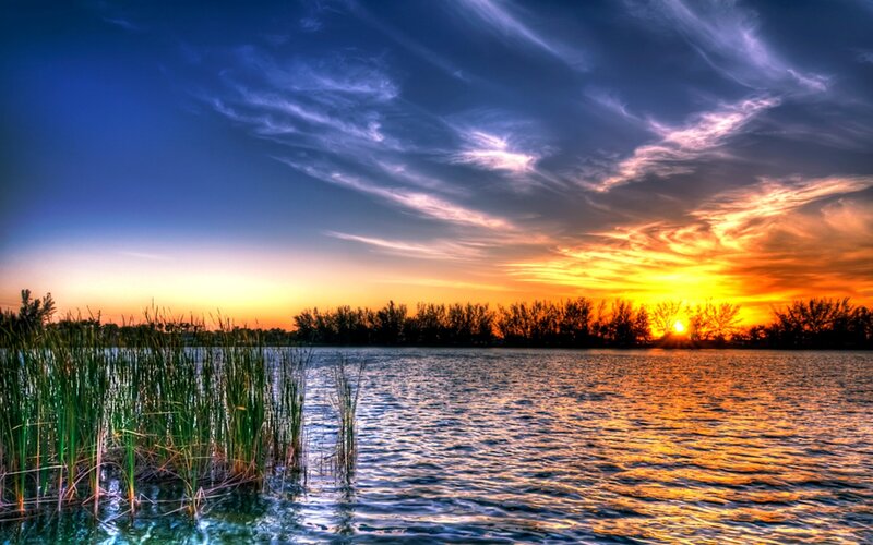 Sunset over Lake — Blue, Dramatic, Photograph, Trees, Reeds, Sky