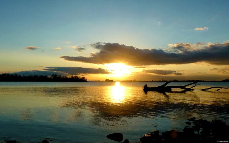 Sunset over Lake — Blue, Serene, Photograph, Clouds, Driftwood