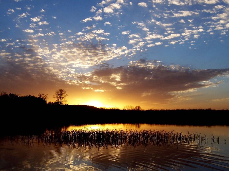 Sunset over Lake — Blue, Serene, Photograph, Clouds, Trees, Reeds