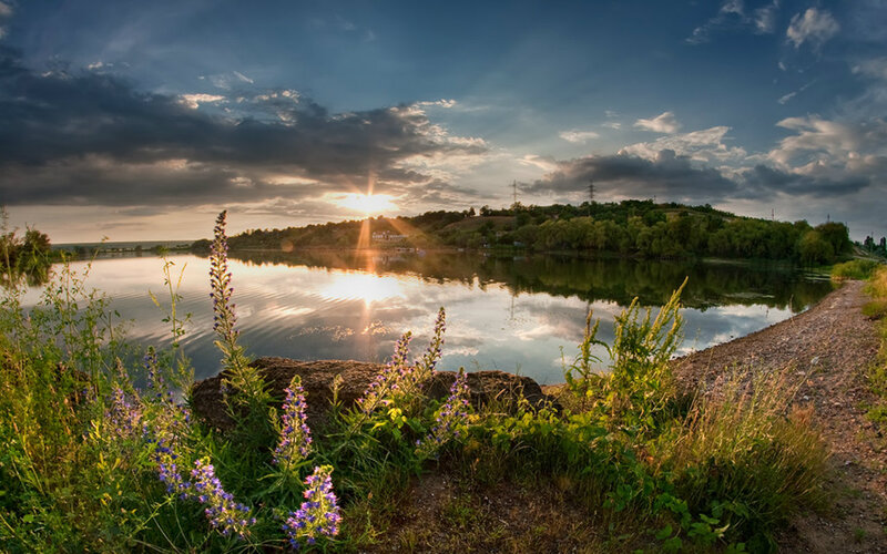 Sunset over Lake — Blue, Serene, Photograph, Flowers, Trees