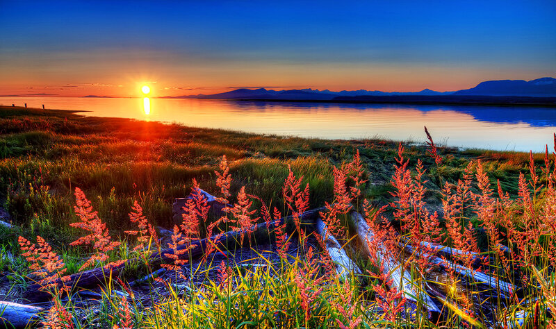Sunset over Lake — Blue, Serene, Photograph, Mountains, Grass, Driftwood