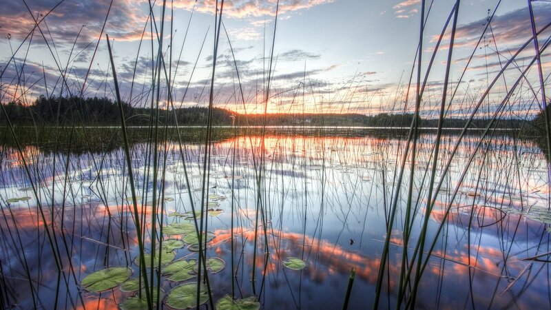 Sunset over Lake — Blue, Serene, Photograph, Reeds, Lily Pads