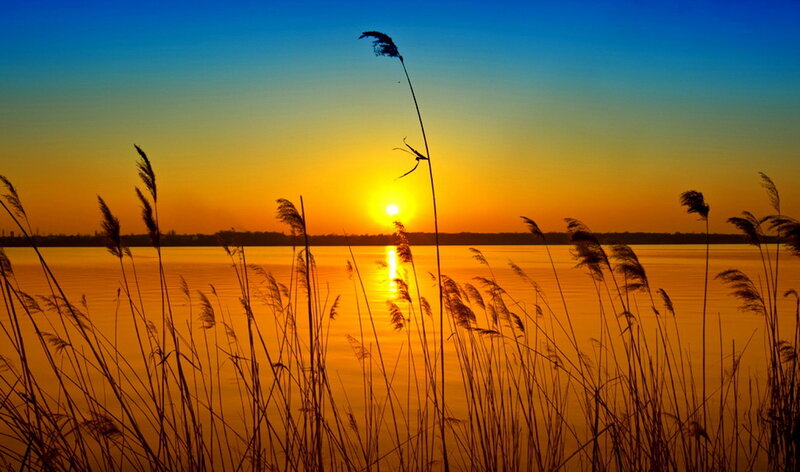 Sunset over Lake — Blue, Serene, Photograph, Reeds