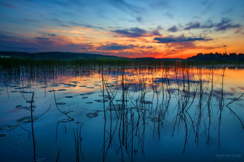 Sunset over Lake — Blue, Serene, Photograph, Sky, Water, Reeds