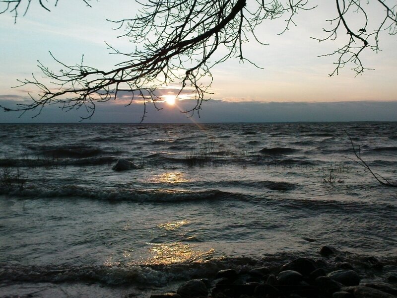 Sunset over Lake — Blue, Serene, Photograph, Tree Branches