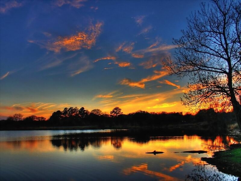 Sunset over Lake — Blue, Serene, Photograph, Tree, Clouds, Reflection