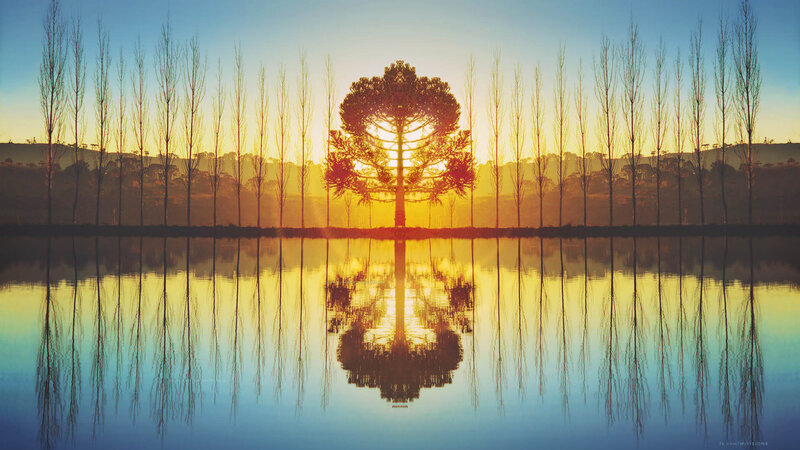 Sunset over Lake — Blue, Serene, Photograph, Tree, Reflection