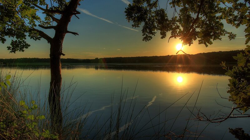 Sunset over Lake — Blue, Serene, Photograph, Tree, Sky, Grass