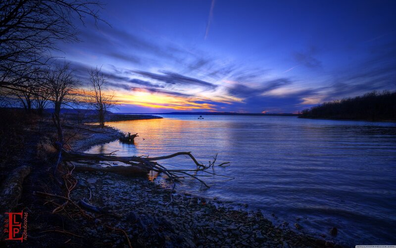 Sunset over Lake — Blue, Serene, Photograph, Trees, Driftwood