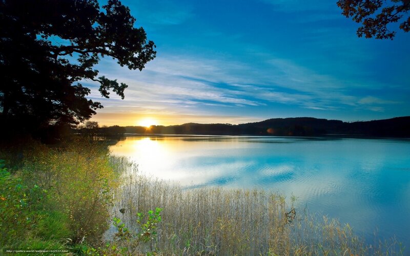 Sunset over Lake — Blue, Serene, Photograph, Trees, Reeds