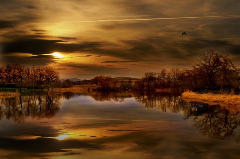 Sunset over Lake — Gold, Dramatic, Photograph, Trees, Boat