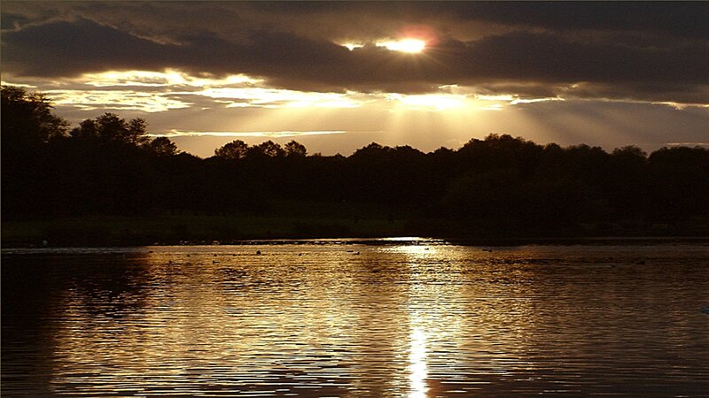 Sunset over Lake — Gold, Dramatic, Photograph, Trees