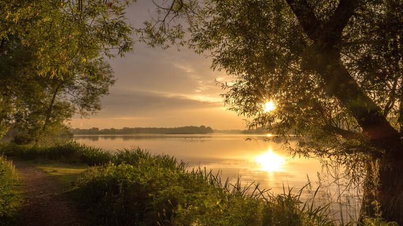Sunset over Lake — Gold, Serene, Photograph, Trees, Path