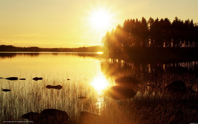 Sunset over Lake — Gold, Serene, Photograph, Trees, Rocks